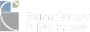 BurmistrovAndPartners.png